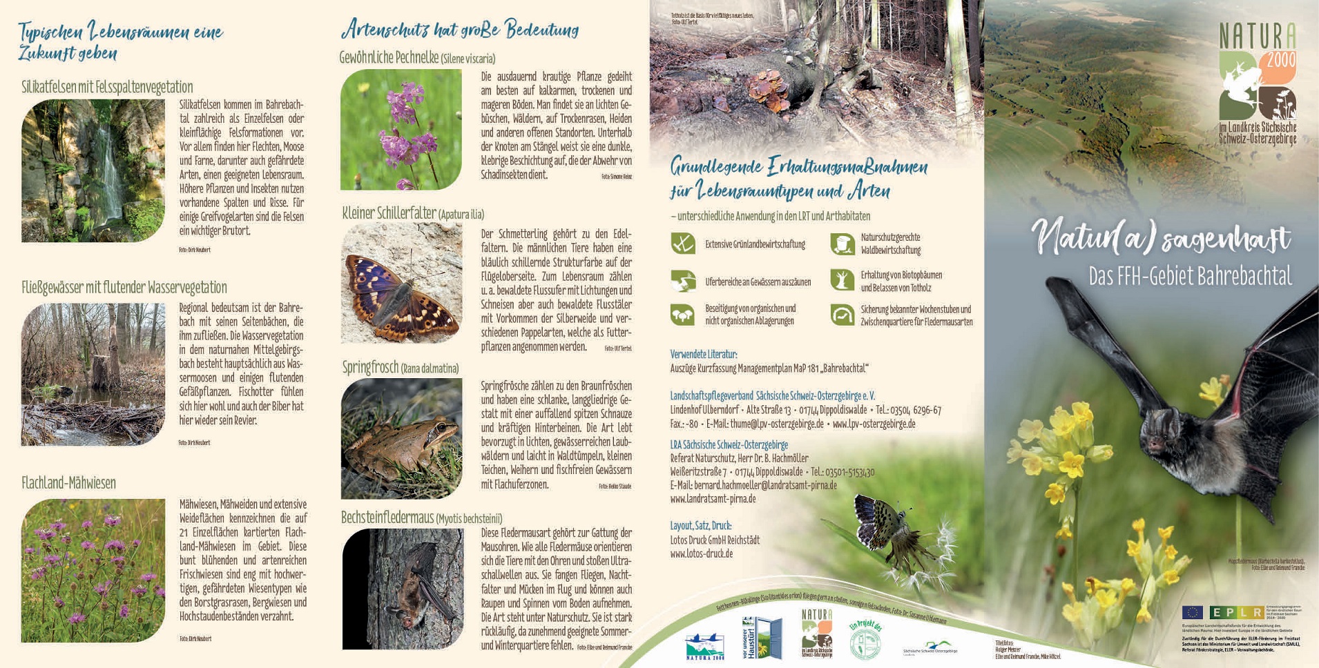 tl_files/downloads/Bilder Projekte/Projektstellen/Natura 2000 2.0/Flyer/Gebietsflyer_Bahrebachtal_1.jpg